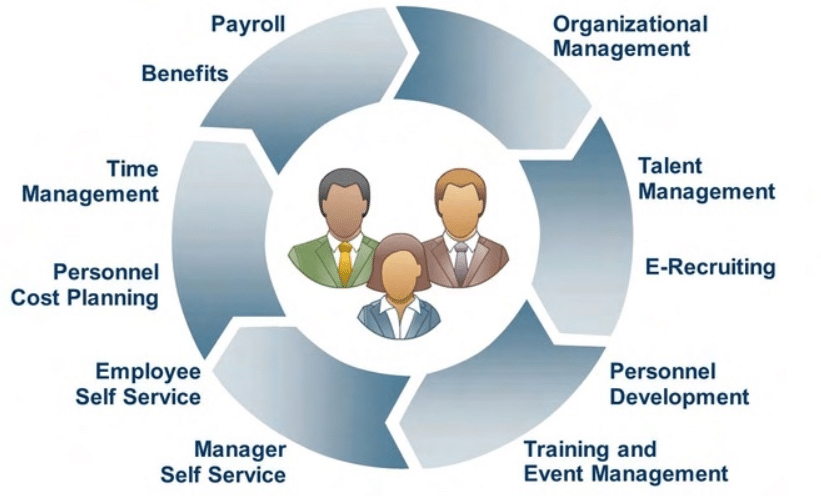 interconnection of management structures
