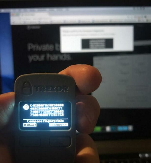 trezor wallet in hand