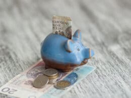 Polish zloty and piggy bank on the wooden background, soft focus background