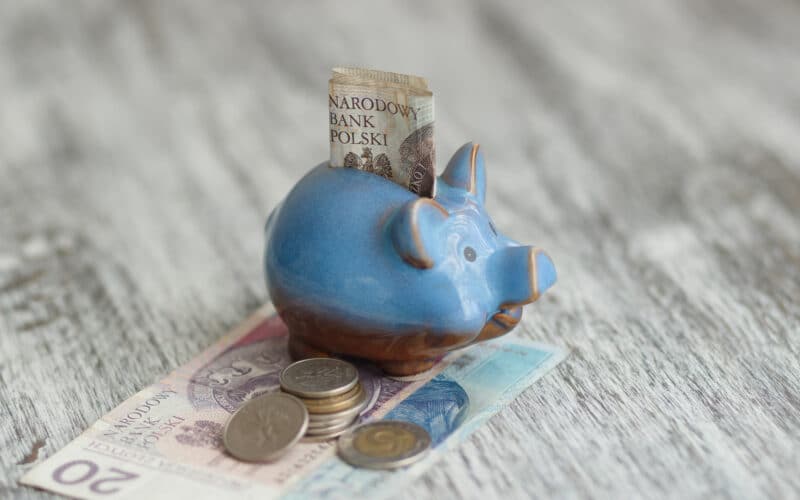 Polish zloty and piggy bank on the wooden background, soft focus background
